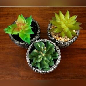 Set of 3 Faux Succulents in Heavy Textured Planters